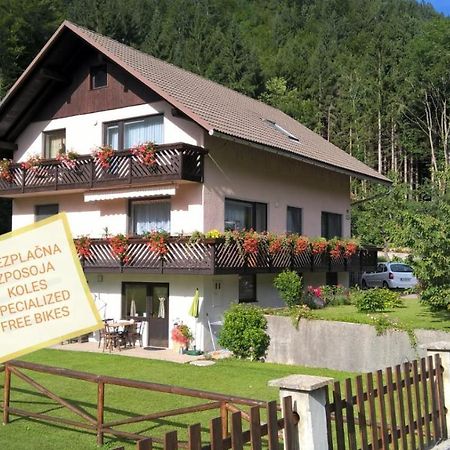 Apartments Mertelj Kranjska Gora Extérieur photo